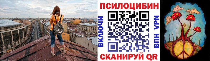 Купить где  Борзя  Псилоцибиновые грибы MAGIC MUSHROOMS 